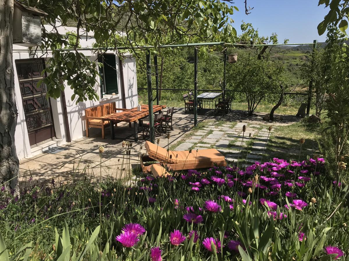 Villa Temenia House Exterior foto